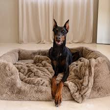 Pet Beds and Blankets