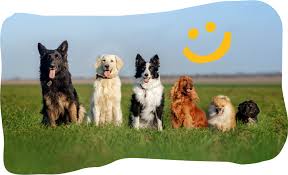 Wireless Communications