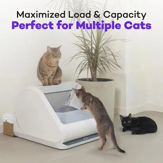 Self-Cleaning Litter Boxes-X5 Self Cleaning Cat Litter Box - Unique Open Top Split System-Automatic Litter Scooping Robot