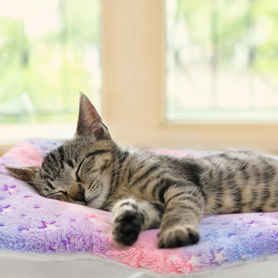 2 Pack Fuzzy Pet Blanket for Indoor Cats and Small Dogs: Warm Calming Bed for Anxiety Relief Washable Mat Ideal for Crates Kitt